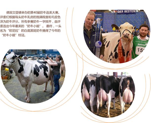 冥界警局 R.I.P.D.