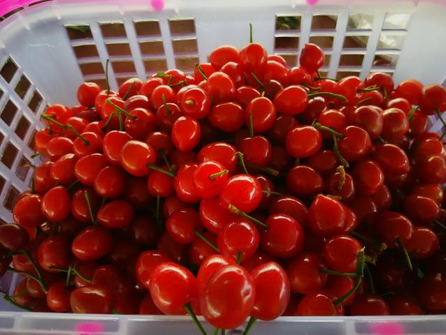 再见妈咪（国语版）