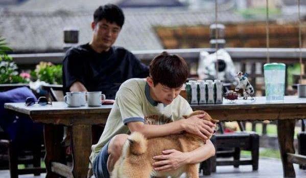 八星报喜1988 粤语版