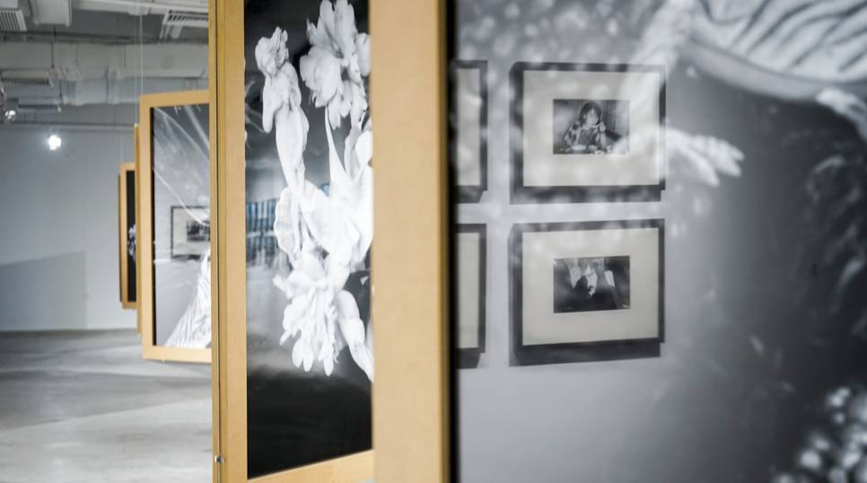 关于我妈的一切