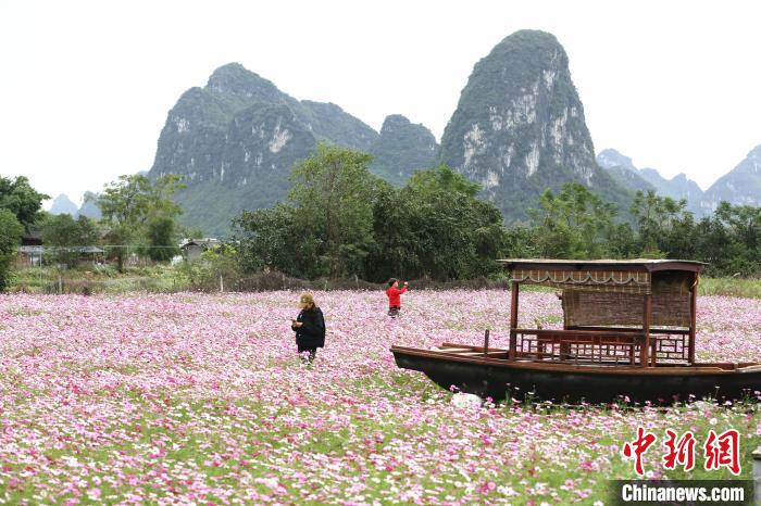 克里斯黛拉·阿朗索：上层阶级