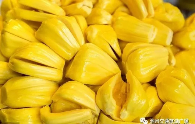 写给往昔的未来